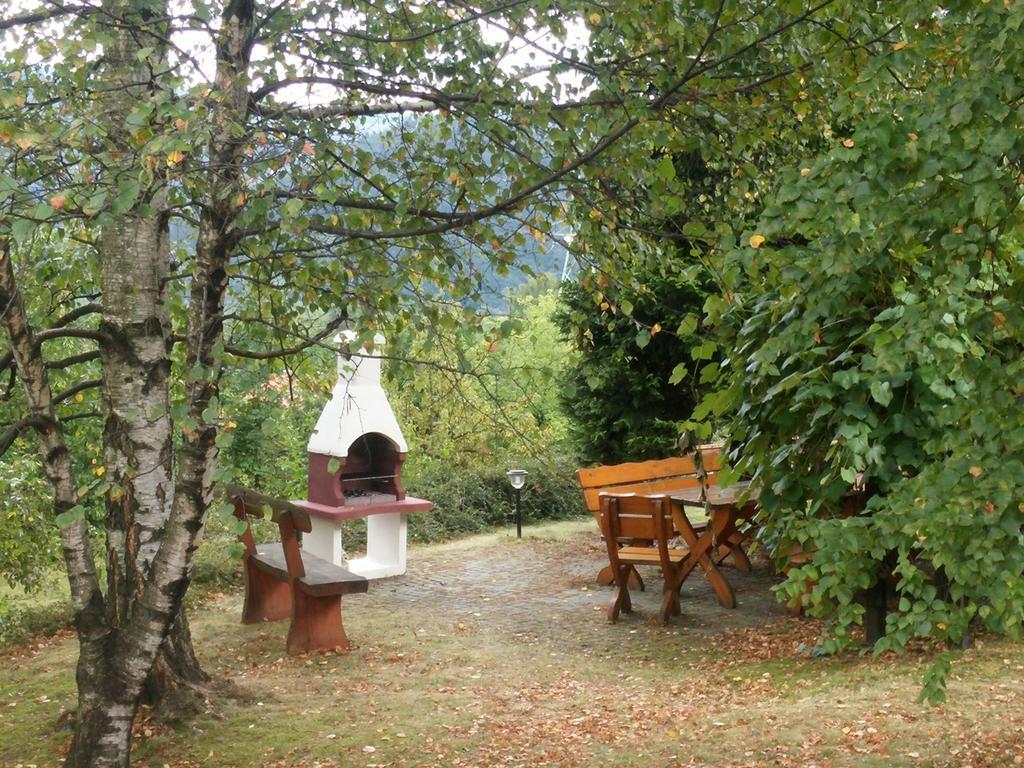 Willa Panorama Spa Ustroń Eksteriør bilde